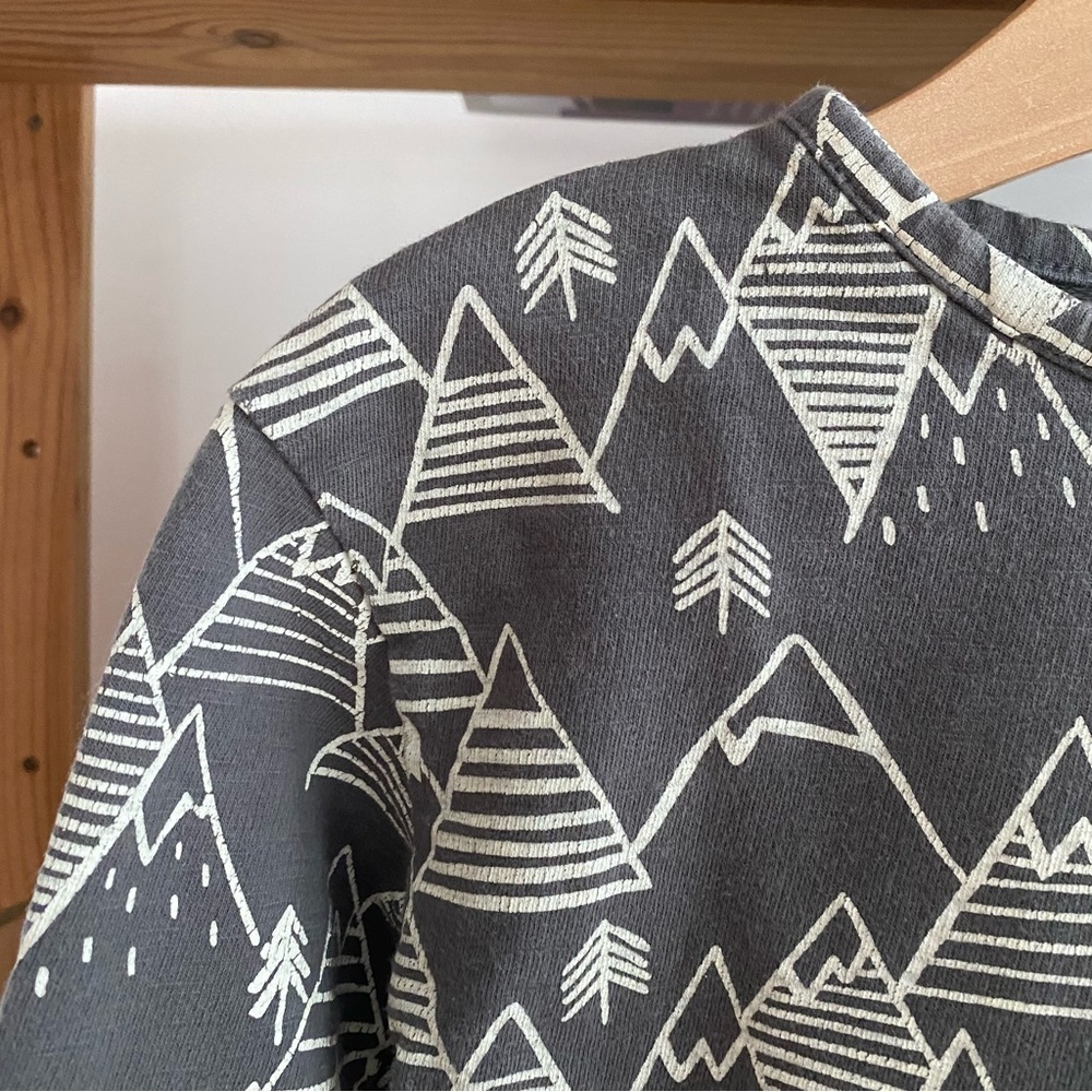 Lali Gray Winter Mountain Print Long Sleeve Shirt - Picture 6 of 13